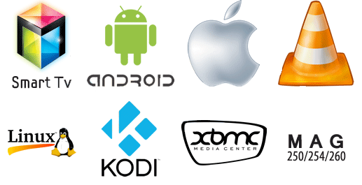 Abonnement IPTV, Serveur IPTV